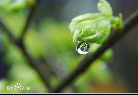 喜訊！2017新年開(kāi)工第一份中標(biāo)通知書(shū)